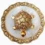 Trendy Crafts Metal Feng Shui Tortoise On Plate Showpiece (Golden, Diameter:5.5 Inch)